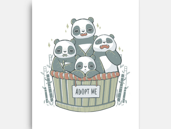 Adopt A Panda