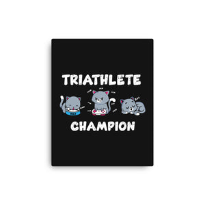 Triathlete Champion