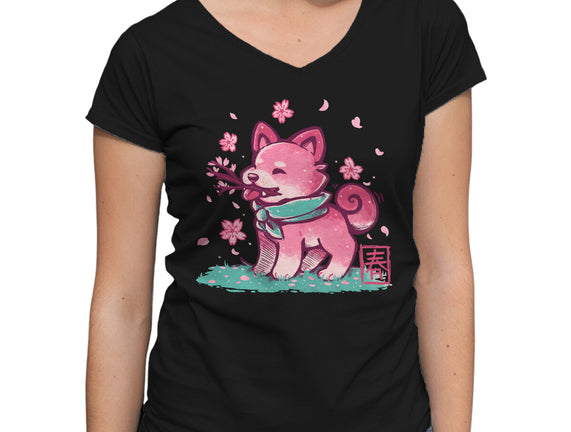 Spring Time Shiba