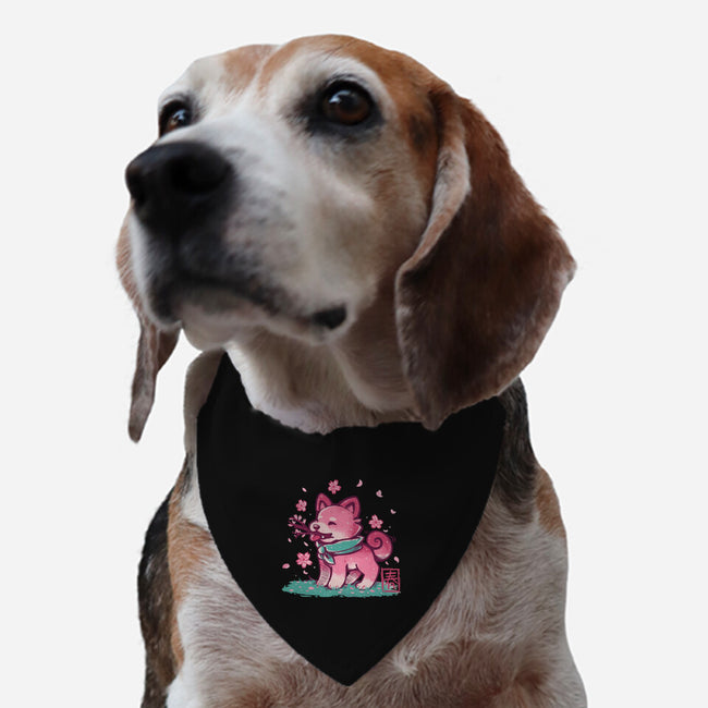 Spring Time Shiba-dog adjustable pet collar-TechraNova