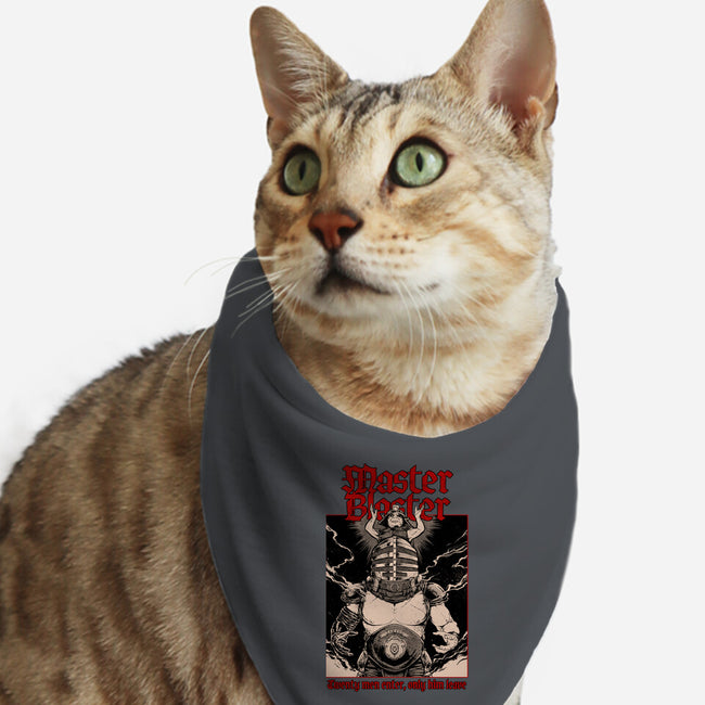 Master And Blaster-cat bandana pet collar-Hafaell