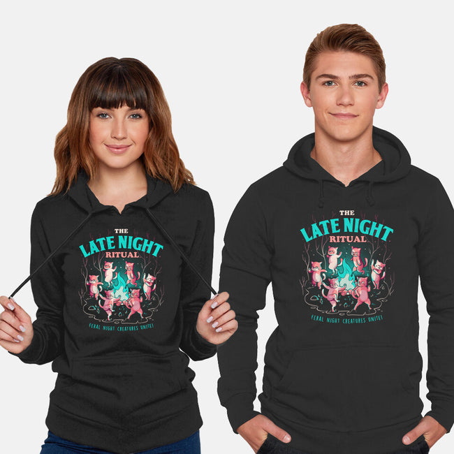 The Late Night Ritual-unisex pullover sweatshirt-eduely