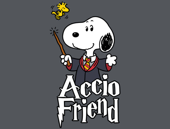 Accio Friend