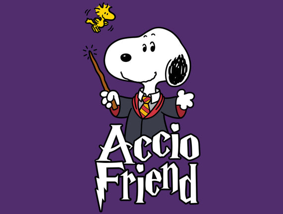 Accio Friend