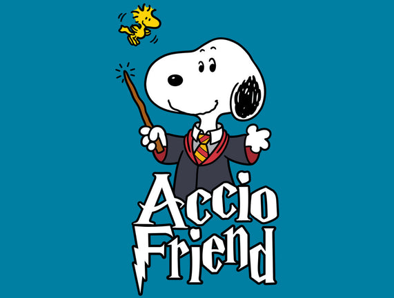 Accio Friend