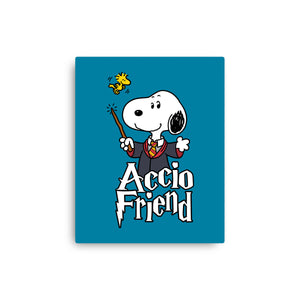 Accio Friend