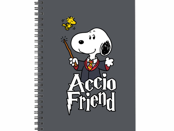 Accio Friend