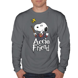 Accio Friend