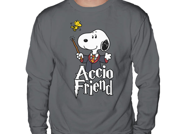 Accio Friend