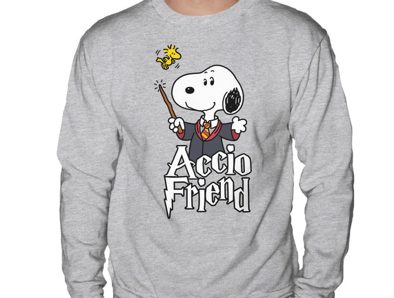 Accio Friend