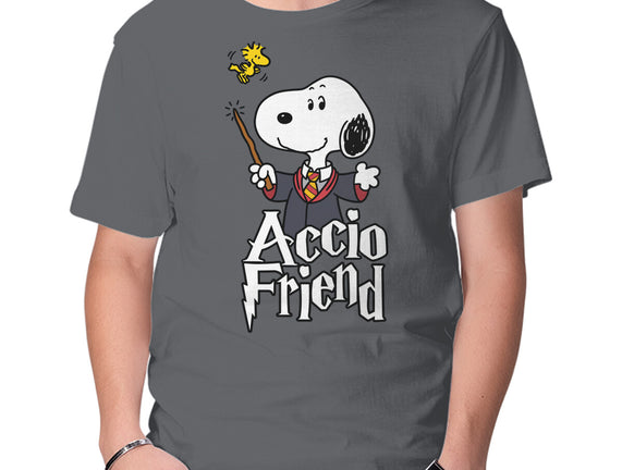 Accio Friend
