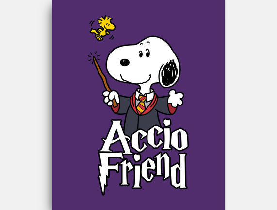 Accio Friend