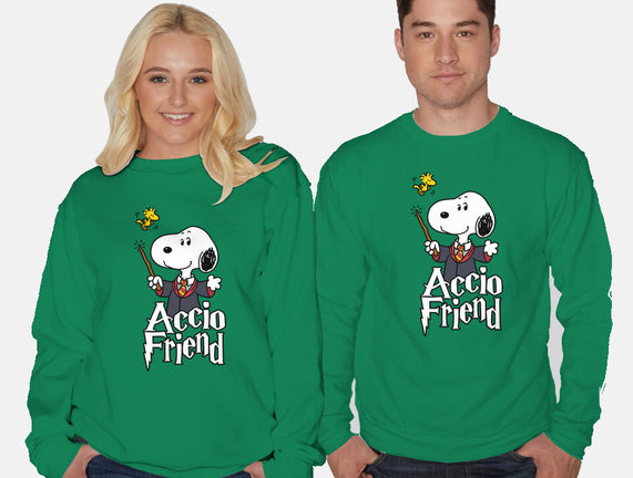 Accio Friend