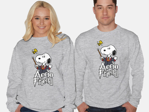 Accio Friend