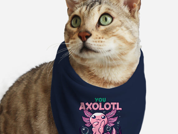 You Axolotl Questions