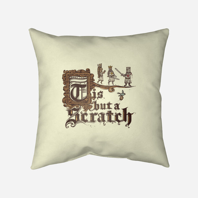 A Scratch-none removable cover w insert throw pillow-kg07
