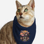 Get In We're Going Back In Time-cat bandana pet collar-momma_gorilla
