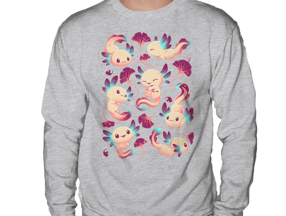 Axolotl Wonders