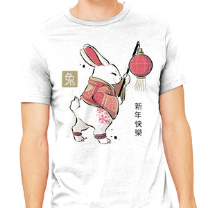 Year Of Rabbit