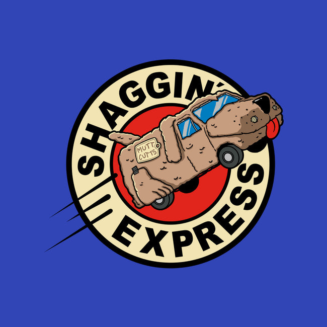 Shaggin Express-youth pullover sweatshirt-Getsousa!