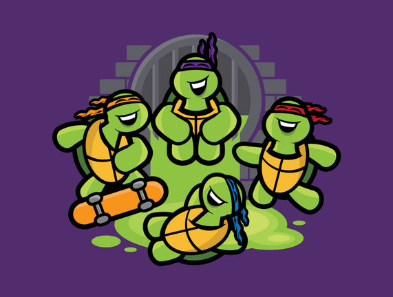 Turtle Party