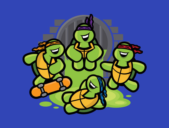 Turtle Party