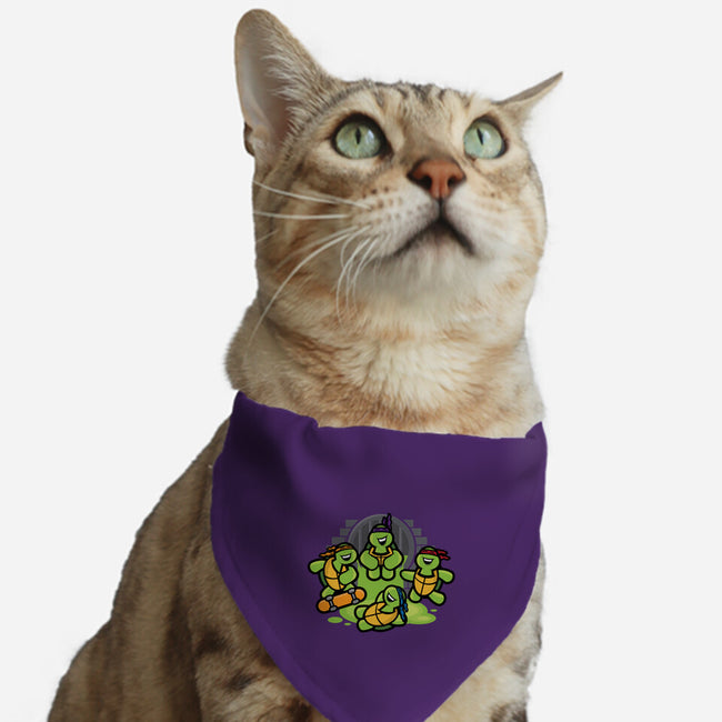 Turtle Party-cat adjustable pet collar-jrberger