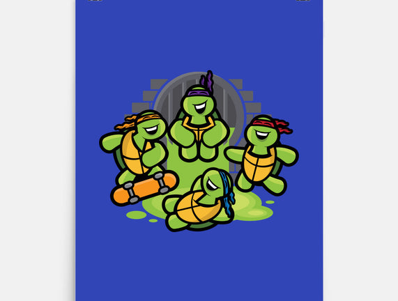 Turtle Party