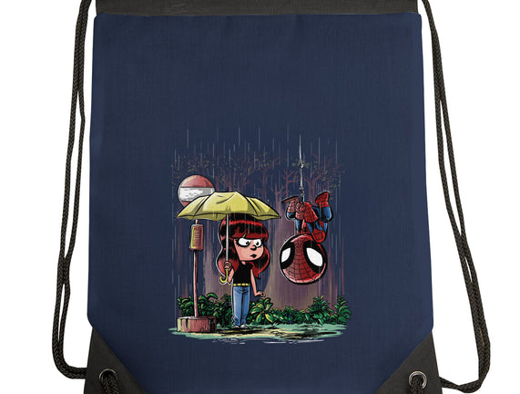 My Neighbor Spidey