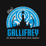 Visit Gallifrey-womens basic tee-alecxpstees