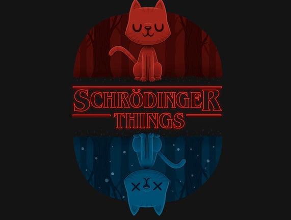 Schrodinger Things