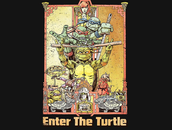 Enter the Turtle