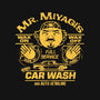 Wax On Wax Off Car Wash-womens fitted tee-DeepFriedArt