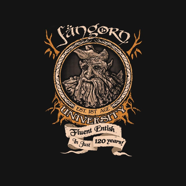 Fangorn University-womens basic tee-Hootbrush