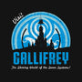 Visit Gallifrey-womens fitted tee-alecxpstees