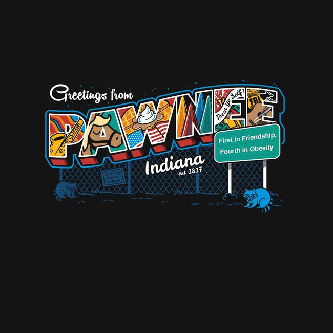 Greetings From Pawnee-unisex zip-up sweatshirt-Bamboota