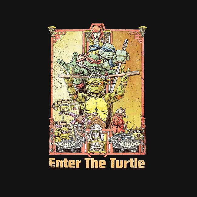 Enter the Turtle-womens basic tee-FunTimesTees