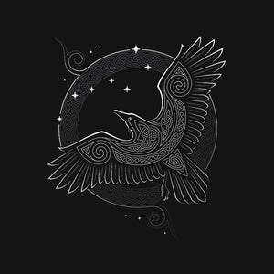 Northern Raven