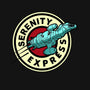 Express Through The Verse-womens fitted tee-athelstan
