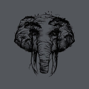 Wild Safari