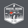 Visit Hawkins-unisex pullover sweatshirt-waltermck
