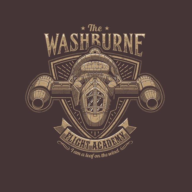 Washburne Flight Academy-womens basic tee-adho1982