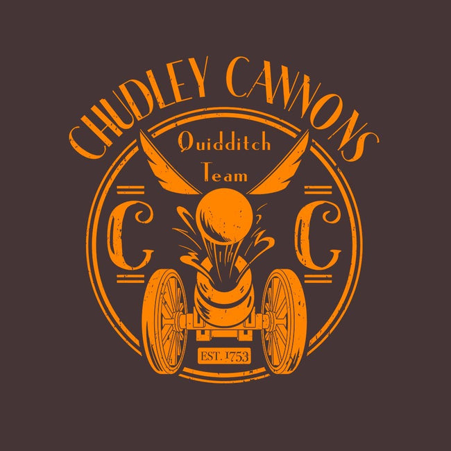Chudley Cannons-womens fitted tee-IceColdTea