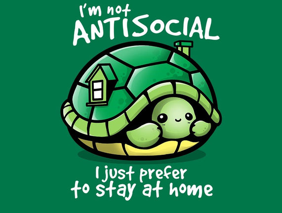 Antisocial Turtle