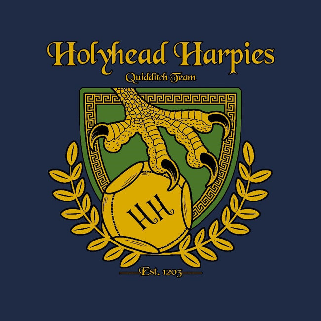 Holyhead Harpies-womens fitted tee-IceColdTea