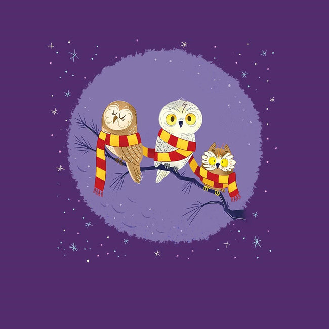 Owl Post-mens long sleeved tee-Miranda Dressler