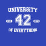 University of Everything-unisex pullover sweatshirt-SergioDoe