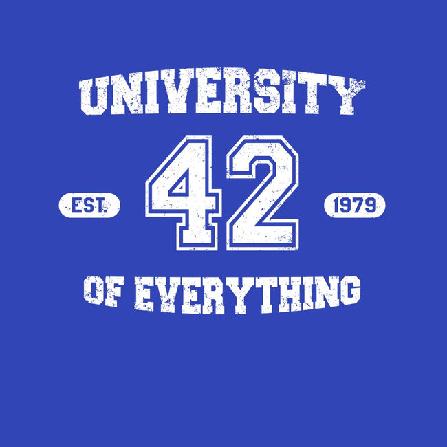 University of Everything-womens fitted tee-SergioDoe