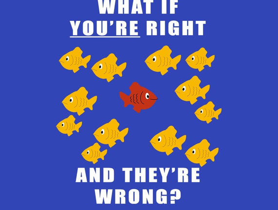 What if You're Right and They're Wrong