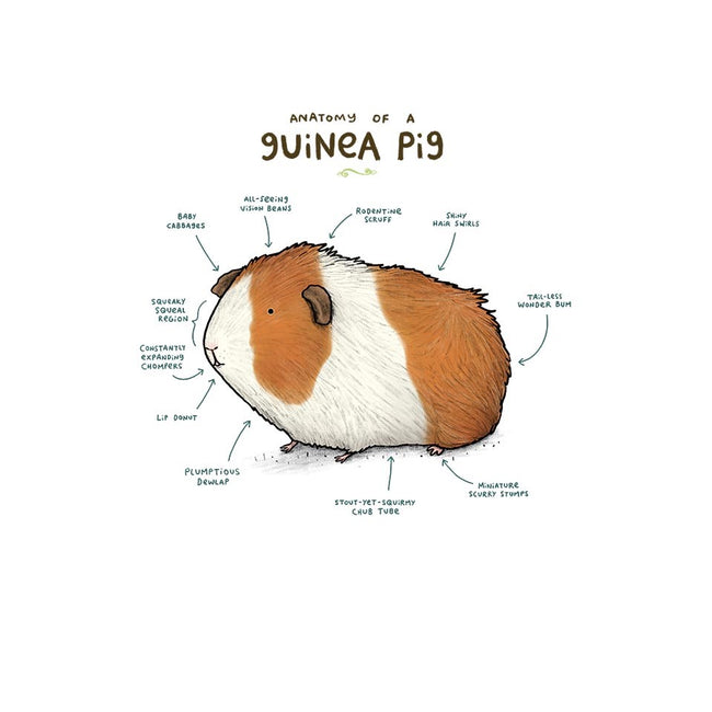 Anatomy of a Guinea Pig-unisex pullover sweatshirt-SophieCorrigan